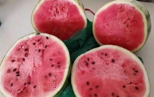 麒麟瓜发软吗怎么吃,美味食用指南